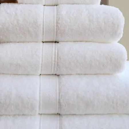 ピアッザ ヴィットリオ スイート アパートホテル トリノ